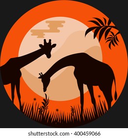  Giraffes in the Savannah at Moonlight.Vector Illustration