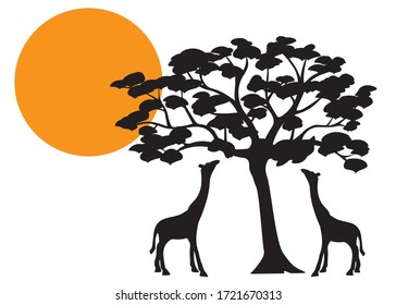 Giraffes silhouette on sunset, vector. Two giraffes silhouettes eating tree in nature, illustration. Minimalist wall art work, wall  decoration, wall decals. Cartoon art illustration