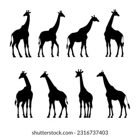 Giraffes silhouettes collection, vector template isolated on white background