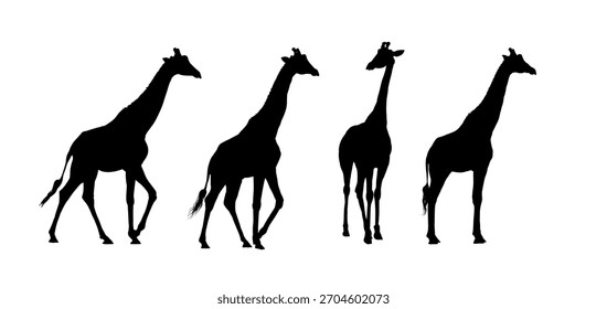 Giraffes silhouettes set - vector illustration	