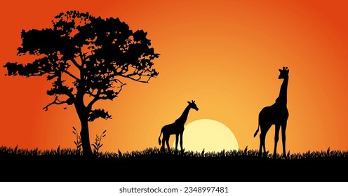 Giraffes waiting for the sun to set on the vast field