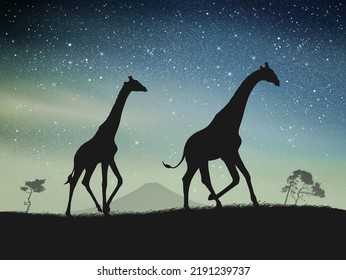 Giraffes Walk Savannah Animal Silhouette Night Stock Vector (Royalty