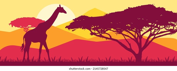 Giraffes walking in african savannah at sunset - evening landscape EPS