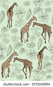 Giraffes, wild animals and plants floral seamless pattern. Vector image.