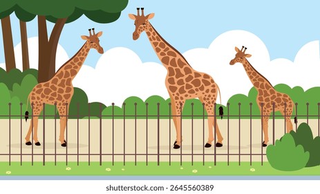 Jirafas en el zoológico. Ilustración vectorial en estilo plano