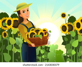 Girl with basket of sunflower flowers. Farmer woman standing. Harvest agricultural plant. Food product of sunflower oil. Farmer farm illustration. Rural summer landscape. Vegetable garden. Vector.