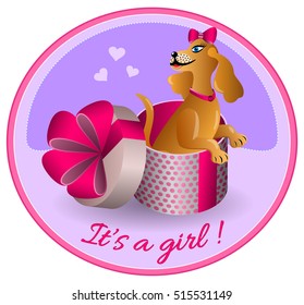  It's a Girl. Birth announcements puppy. Animal gift. Cartoon style. Vector illustration.