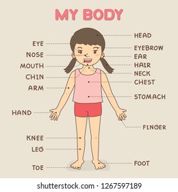 Girl body part, learning poster for kids