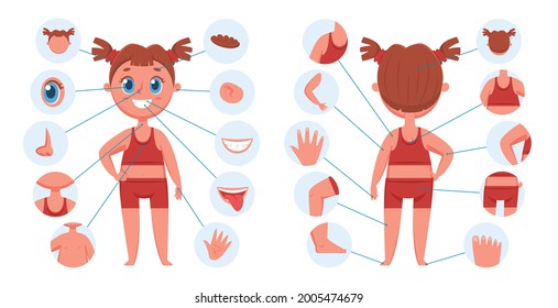 Girl body parts. Learning face parts for children. Child body part for teaching. Vector preschool human anatomy educational illustration. Toddler with ears, mouth, nose and eyebrows