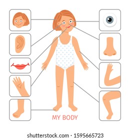 Girl body parts. Preschool female child body parts cartoon vector illustration, arm and leg, nose and eye, hair and neck on white background