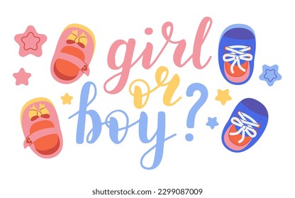 Girl or boy, lettering written with elegant calligraphic font and decorated with booties, dummy. Gender party concept.