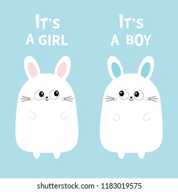 Its a girl boy. Two cute twin bunny rabbit set. Hare head couple family icon. Cute cartoon funny smiling character set. Blue background. Isolated. Flat design Vector illustration