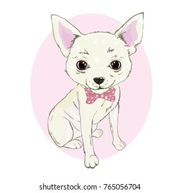 Girl Chihuahua illustration print. Cute fashionable dog vector sketch.