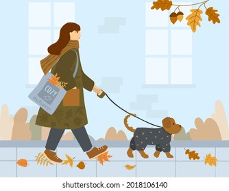 Girl in a coat and with a scarf around her neck walks with dog down the autumn street. On the shoulder is a bag with colored leaves. A small dog in a grey jumpsuit. Vector illustration in flat style