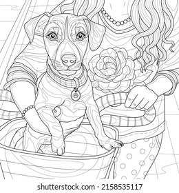 Girl with a dog in a bicycle basket.Jack Russell.Coloring book antistress for children and adults. Illustration isolated on white background.Zen-tangle style. Hand draw