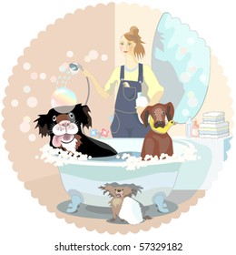 Girl, Dogs Cleaner, Washing Couple Of Dog, Vector Illustration.