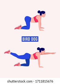 Girl doing Bird Dog exercise, Woman workout fitness, aerobic and exercises. Vector Illustration.
