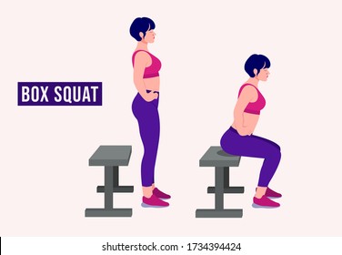 Girl doing Box squat exercise, Woman workout fitness, aerobic and exercises. Vector Illustration.