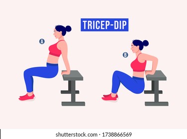 Girl doing Tricep Dip exercise, Woman workout fitness, aerobic and exercises. Vector Illustration.