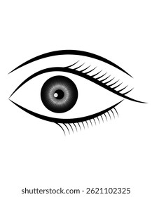 Girl eye vector Beautiful eye vector image
