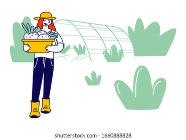 Girl Farmer or Gardener in Working Robe with Basket of Ripe Healthy Vegetables from Greenhouse, Farm Natural Product, Organic Food Gardening, Farmland. Cartoon Flat Vector Illustration, Line Art