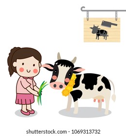 Girl feeding a cow and saving cattle lives from the Slaughterhouse with white background.