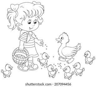 Girl feeding a duck and ducklings