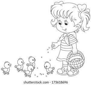 girl feeds a brood of small chickens