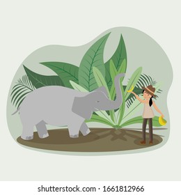 Girl feeds elephant by bananas in wild nature.