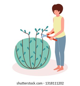 The girl forms and cuts a bush with garden secateur. Work in the garden. Vector illustration in flat style on white isolated background.