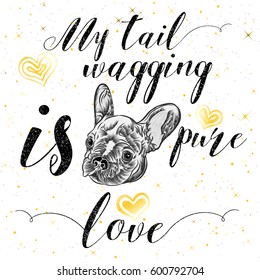 Girl French Bulldog illustration print in golden sparkles. Cute fashionable dog vector sketch. My tail wagging is pure love postcard. Hand drawn positive background with gold glitter and stars. 