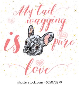 Girl French Bulldog illustration print in golden sparkles. Cute fashionable dog vector sketch. My tail wagging is pure love postcard. Hand drawn positive background with gold glitter and stars. 