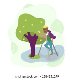 The girl in the garden stands on the stairs and harvested apples from a tree in a basket. Season work scene. Isolated flat trendy modern style Illustration on white background.