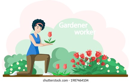 Girl gardening plants on backyard flowers on beautiful flower bed, enjoying tulips and roses in spring garden. Organic gardening illustration. Woman gardener worker is engaged in gardening in grounds