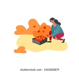 Girl gathering crops or seasonal harvest, collecting ripe vegetables. Women work on a farm. Agricultural worker in autumn. Cartoon vector illustration