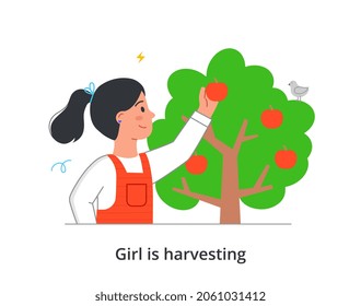 Girl harvests concept. Character plucks beautiful ripe red apple from tree and puts them in basket. Fresh fruit. Child farmer or gardener. Cartoon flat vector illustration isolated on white background