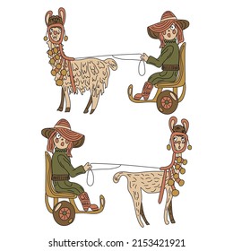 A girl in a hat rides an uncut lama and a short-cropped lama, sitting in a chariot. Isolated on a white background. 
