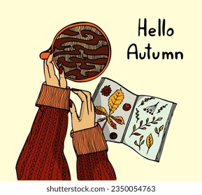 Girl holding a cup of coffee. Female hands in a warm red sweater with a mug of a hot drink. Hello autumn, cosy fall. Top view of a table. Harvest, holiday, fall. Vector illustration.