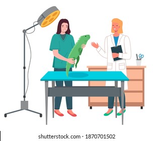 Girl with iguana at reception at veterinarian. Doctor's office. First aid kit. Desk with lamp and diplomas on the wall. Indoor plant in pot. Vet gives advice on caring for exotic reptile to owner