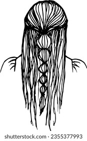 Girl with long hair and braided braid, back view. Hand drawn illustration.