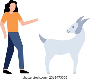 The girl is looking at the goat.