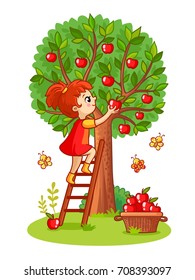 Girl on the stairs collects apples. Vector illustration with girl and apple tree on a white background.