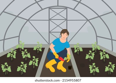 A girl is planting seedlings in a greenhouse. Seedlings in the greenhouse. Vector drawing of a greenhouse with seedlings.