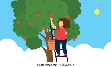 Girl plucks apples from an apple tree on the stairs