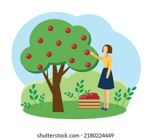 
A girl plucks fruit from a tree