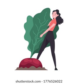 Ilustración vectorial orgánica natural de una chica que saca la raíz de una remolacha grande