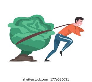 Girl Pulling Big Head of Cabbage, Female Farmer Character with Natural Organic Vegetable Vector Illustration