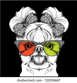 Girl puppy with cute bows and in the colored glasses. Yorkshire Terrier. Vector illustration