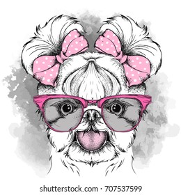 Girl puppy with cute bows. Yorkshire Terrier. Vector illustration
