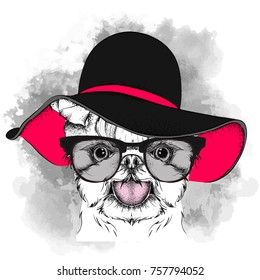 Girl puppy in a hat. Yorkshire Terrier. Vector illustration